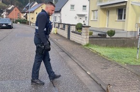 Polizeidirektion Pirmasens: POL-PDPS: Drei Leben gerettet - Ente gut, alles gut!
