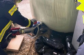 Freiwillige Feuerwehr Gangelt: FW Gangelt: Kälber in Not