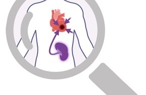Universitätsklinikum Essen AöR: Unterschätzt – aber therapeutisch relevant? Die Milz schützt das Herz!