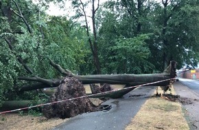 Polizeiinspektion Hameln-Pyrmont/Holzminden: POL-HM: Gewitterfront entwurzelt zahlreiche Bäume