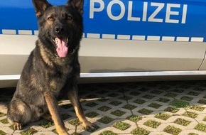 Polizei Hamburg: POL-HH: 2. Drogenfund bei Verkehrskontrolle in Hamburg-Barmbek-Nord