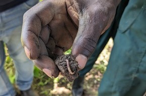 Aid by Trade Foundation: Pressemeldung: Zum Weltbodentag am 5. Dezember präsentiert Cotton made in Africa neuen Leitfaden zur Evaluierung der Bodenqualität