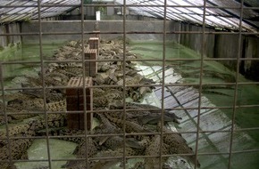 Schweizer Tierschutz STS: «No more croco for Coco» / Der französische Modekonzern Chanel verzichtet auf Exotenleder in seinen Kollektionen