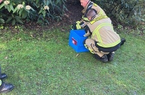 Feuerwehr Solingen: FW-SG: Neun K&uuml;ken aus misslicher Lage gerettet