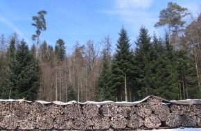 Holzenergie Schweiz: L'énergie du bois pour une maison suisse sur quatre