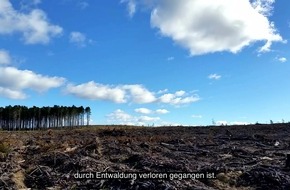 Europäisches Parlament nimmt neues Gesetz zur Bekämpfung der weltweiten Entwaldung an