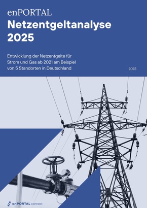 enPORTAL Netzentgeltanalyse 2025 zeigt Kostenveränderungen für Strom und Gas