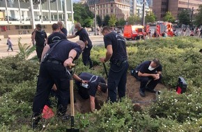 Feuerwehr Frankfurt am Main: FW-F: Hündin aus Kaninchenbau gerettet