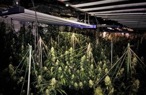 Kreispolizeibehörde Borken: POL-BOR: Südlohn - Polizei stellt Cannabispflanzen und Aufzuchtanlage sicher