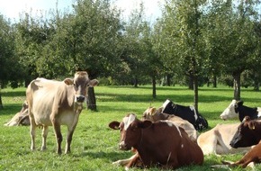 Migros-Genossenschafts-Bund: Migros et IP-Suisse lancent le lait des prés TerraSuisse