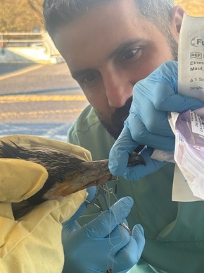 FW-HB: Ein tierischer Ausnahmefall in der Notaufnahme