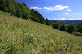 Deutsche Bundesstiftung Umwelt (DBU): DBU Naturerbe: Managementplan für Oschenberg steht