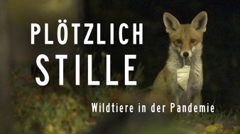 MDR Mitteldeutscher Rundfunk: MDR-Koproduktion „Plötzlich Stille – Wildtiere in der Pandemie“ im Ersten