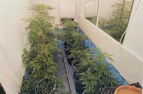 Polizei Mettmann: POL-ME: Cannabisplantage in Wohnung entdeckt - die Polizei ermittelt - Velbert - 2110006
