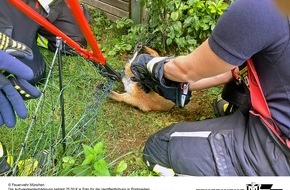 Feuerwehr M&uuml;nchen: FW-M: Tierrettung aus gr&ouml;&szlig;ter Not (Michaeliburg)