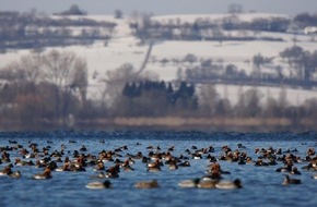 Global Nature Fund: Einladung zur Seenfachtagung 2024