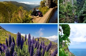 Madeira Promotion Bureau: Madeira in Zahlen - 150 Tunnel, 30 Wanderwege, 3.100 Kilometer Levadas und 1.204 verschiedene Pflanzenarten