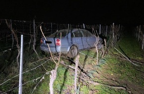 Polizeidirektion Landau: POL-PDLD: Hase ausgewichen und im Wingert gelandet