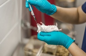 Zürcher Tierschutz: Tierversuche: Staatliche Lizenz zum Quälen