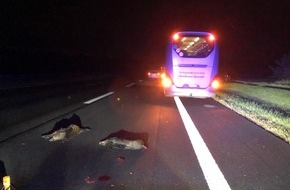 Verkehrsdirektion Mainz: POL-VDMZ: Wildschweinunfall auf der A 60