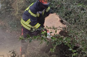 Feuerwehr Oberhausen: FW-OB: Erhöhtes Einsatzaufkommen bei der Oberhausener Feuerwehr durch Sturmtief "Ignatz"