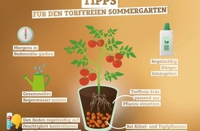 FNR Fachagentur Nachwachsende Rohstoffe: Torffrei durch den Sommer: Tipps zum nachhaltigen Gärtnern