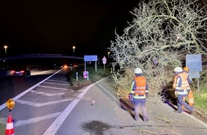 Feuerwehr Bochum: FW-BO: Nachtrag zum Orkantief Zeynep - 12 weitere Einsätze in der Nacht