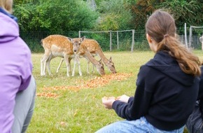 Heinz Sielmann Stiftung: Zwischen Tau und Apfelduft – Heinz Sielmann Stiftung lädt zum Streuobstwiesen-Tag von Gut Herbigshagen