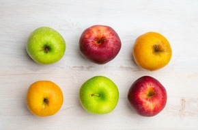 Deutschland - Mein Garten (eine Initiative der Bundesvereinigung der Erzeugerorganisationen Obst und Gemüse / BVEO): Äpfel made in Germany! Am 11. Januar 2022 feiern sie ihren Ehrentag