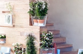 Blumenbüro: Duftende Blüten in Weiß sind Zimmerpflanzen des Monats März /
Natürliche Duftgeber in puristischem Weiß: Gardenie, Jasmin und Stephanotis