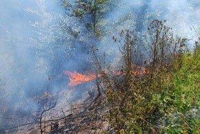 FW-MK: Waldbrand im Grüner Tal fordert die Feuerwehr