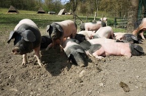 ZDF: Tierwohl-Pioniere bei "planet e." im ZDF