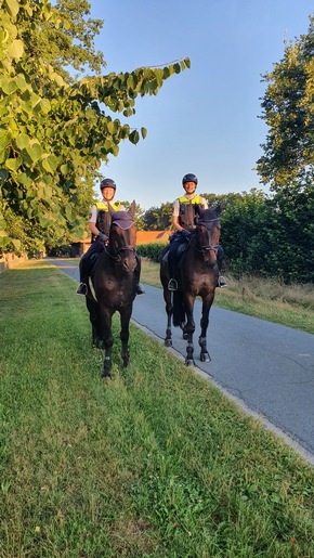 Polizeiinspektion Celle: POL-CE: Sie sind wieder da!