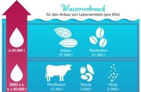 Warenvergleich.de: Bis zu 27.000 Liter Wasser pro Kilo: Diese Lebensmittel verbrauchen am meisten Wasser in der Herstellung