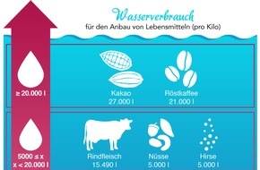 Warenvergleich.de: Bis zu 27.000 Liter Wasser pro Kilo: Diese Lebensmittel verbrauchen am meisten Wasser in der Herstellung