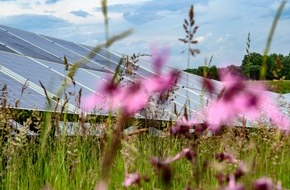 Bundesverband Neue Energiewirtschaft e.V. (bne): Photovoltaik-Strategie nachbessern: alle Hebel auf schnellen Gigawattzubau umlegen