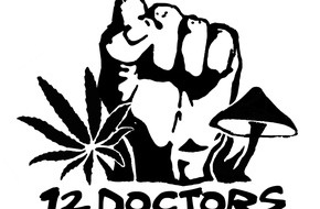 Rechtsanwaltskanzlei Dr. Ansay: "12 Doctors" provozieren CDU/CSU mit illegalen Aktionen für legales Cannabis