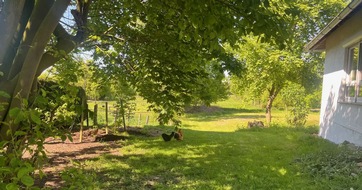 H&auml;user mit H&uuml;hnerstall &ndash; gefunden mit der KI-Suche