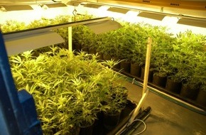 Polizei Rhein-Erft-Kreis: POL-REK: Cannabisgroßplantage entdeckt - Kerpen-Horrem