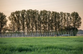 GP JOULE: GP JOULE übernimmt technische Betriebsführung für den Solarpark Frankenförde / Auf die EPC-Leistung folgt nun auch der Service-Auftrag von PARQ energy
