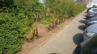 Polizeipräsidium Südosthessen: POL-OF: Pflanzendiebe auf den Friedhöfen - Baugerüst geklaut - Fußgängerin von Personenwagen erfasst