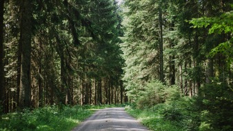 Mehr Flexibilität im FriedWald