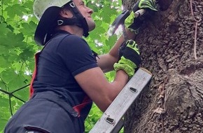 Feuerwehr München: FW-M: Gänsesäger steckt fest (Englischer Garten)