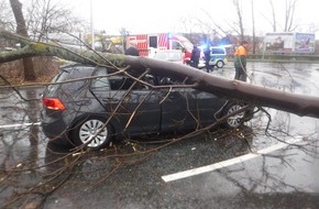 Polizei Düren: POL-DN: Baum stürzt auf Pkw - Beifahrerin verletzt