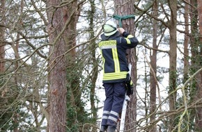 Freiwillige Feuerwehr Celle: FW Celle: Westerceller Feuerwehr kümmert sich um den Naturschutz