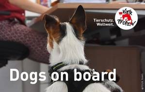 VIER PFOTEN - Stiftung für Tierschutz: Dogs on board: auch am Arbeitsplatz zusammen