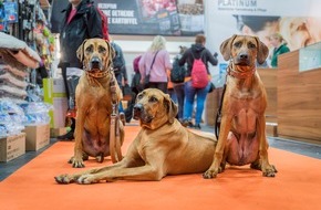 DOGLIVE: DOGLIVE 2023 – Ticket Vorverkauf ist gestartet