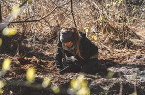 Bergwaldprojekt e.V.: Für einen Inselwald mit Zukunft: Freiwilligeneinsatz auf Amrum