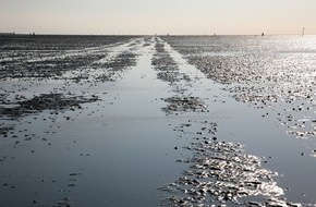 Deutsche Bundesstiftung Umwelt (DBU): DBU: „Weltweit einmaliges Ökosystem“