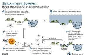 Biogents AG: Nachhaltige Hilfe für Biergärten und Co. / Die Mücken kommen, die Gäste gehen